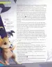 Miniatura página 81 de Lenguaje y Comunicación – Sexto Básico | Texto del Estudiante MINEDUC – Descargar PDF · 2024