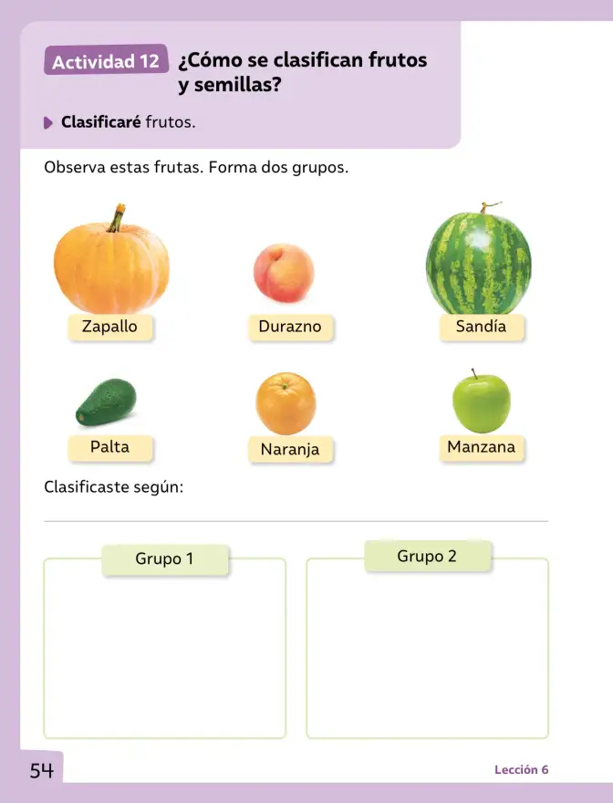 Página 55 de Ciencias Naturales – Primero Básico | Texto del Estudiante (MINEDUC) – Descargar PDF · 2024