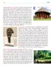 Miniatura página 166 de Colección Ximhai. Ética, naturaleza y sociedades.   Libro de Educación Telesecundaria Grado 1°  Ciclo Escolar 2025 - 2026