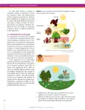Miniatura página 150 de Ciencias Naturales 6° · Secundaria Activa