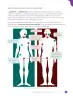 Miniatura página 25 de Libro de Ciencias Naturales – Quinto Básico | Texto del Estudiante MINEDUC – Descargar PDF · 2024
