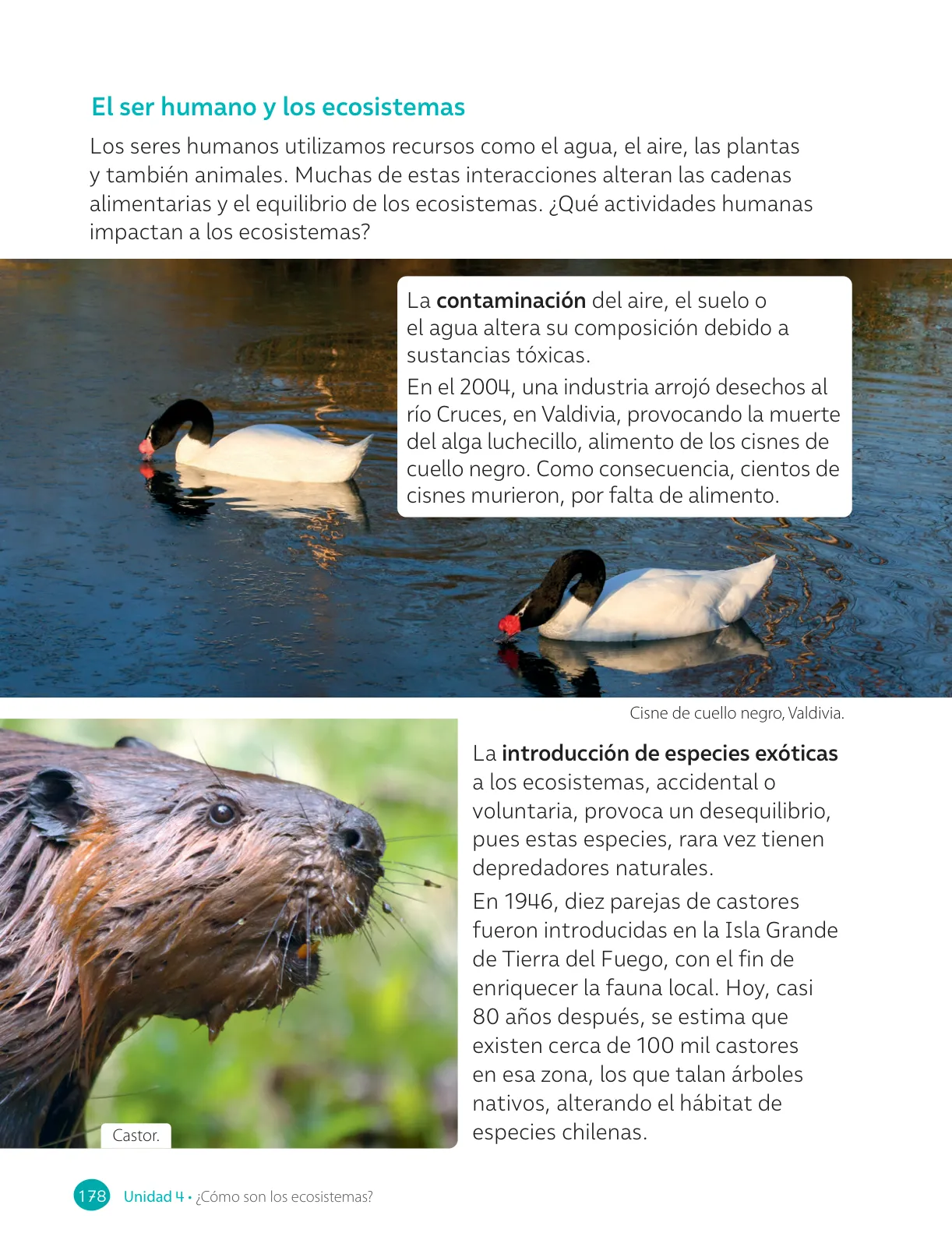 Miniatura página 180 de Ciencias Naturales – Cuarto Básico | Texto del Estudiante MINEDUC – Descargar PDF · 2024