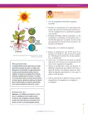 Miniatura página 157 de Ciencias Naturales 7° · Secundaria Activa