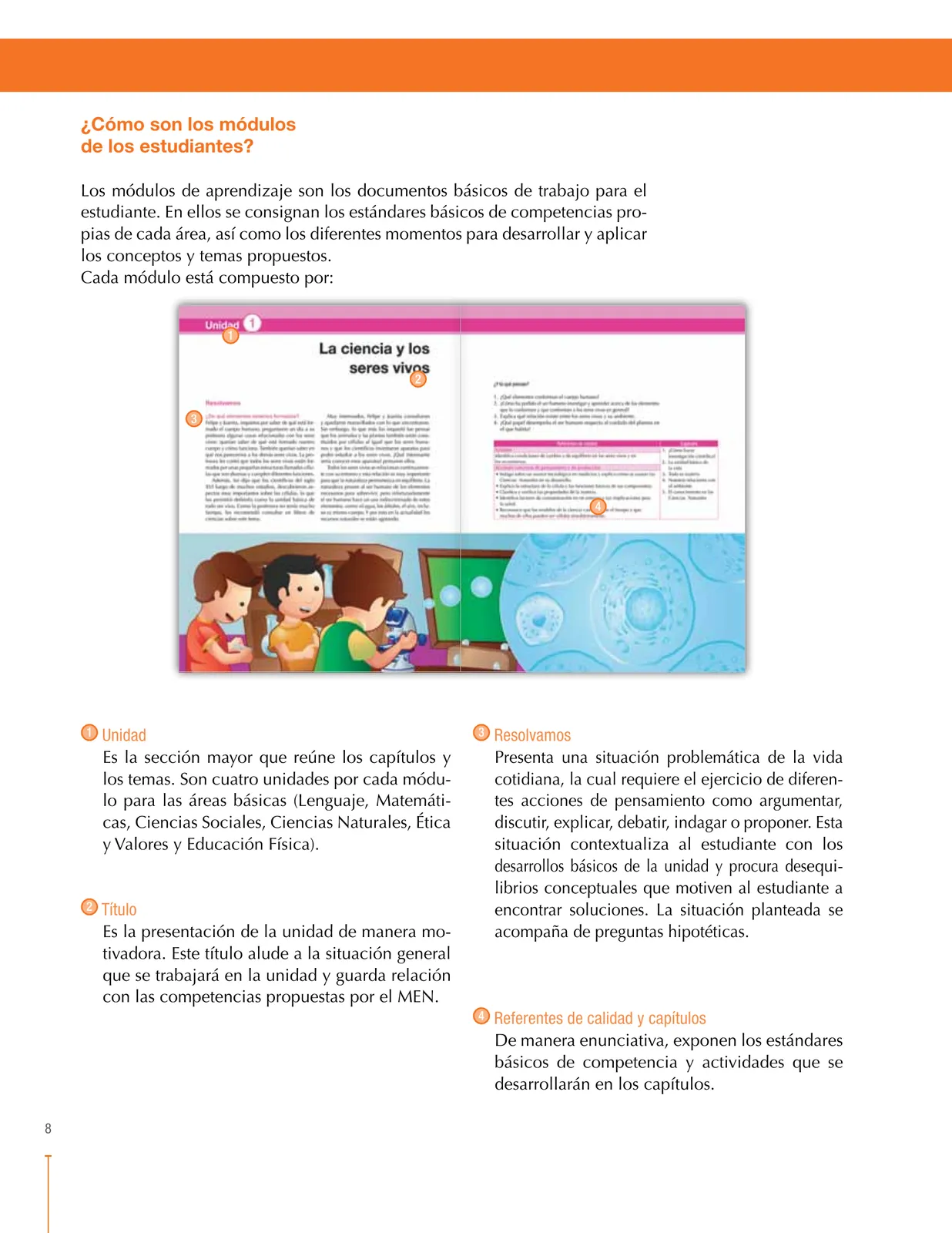 Miniatura página 8 de Ciencias Naturales 6° · Secundaria Activa