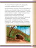 Miniatura página 45 de Willakuykuna maytu - Chanka Literatura 1 - 1° Secundaria - Quechua chanka · 2023