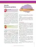 Miniatura página 225 de Ciencias Naturales 8° · Secundaria Activa