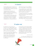 Miniatura página 129 de Lenguaje y Comunicación – Sexto Básico | Texto del Estudiante MINEDUC – Descargar PDF · 2024