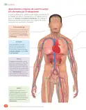 Miniatura página 86 de Libro de Ciencias Naturales – Quinto Básico | Texto del Estudiante MINEDUC – Descargar PDF · 2024