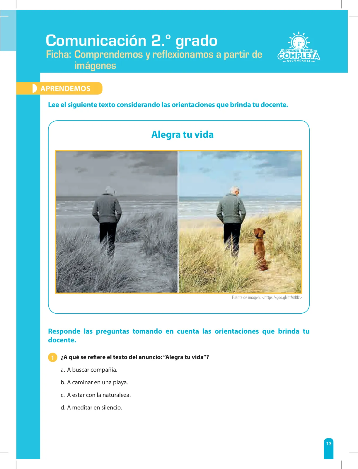 Página 13