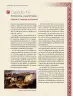 Miniatura página 206 de Nuestros saberes: México, grandeza y diversidad.   Libro de Educación Primaria Grado 4°  Ciclo Escolar 2025 - 2026