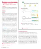 Miniatura página 24 de Sumo Primero – Tercero Básico | Texto del Estudiante MINEDUC – Descargar PDF · 2024