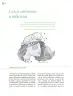 Miniatura página 117 de Crianza para la libertad. Libro para las familias. Fase 2  Libro de Educación Preescolar Grado 1°, 2°, 3°  Ciclo Escolar 2025 - 2026