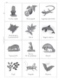 Miniatura página 102 de Múltiples lenguajes. Trazos y palabras.   Libro de Educación Primaria Grado 2°  Ciclo Escolar 2025 - 2026