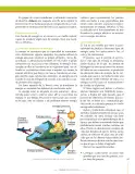 Miniatura página 267 de Ciencias Naturales 9° · Secundaria Activa
