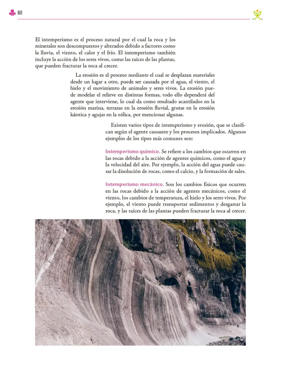Página 61