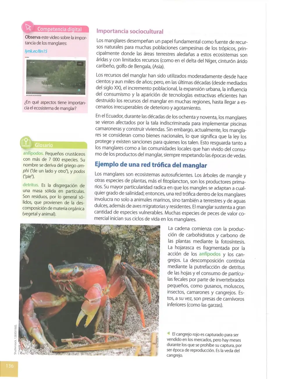 Página 135