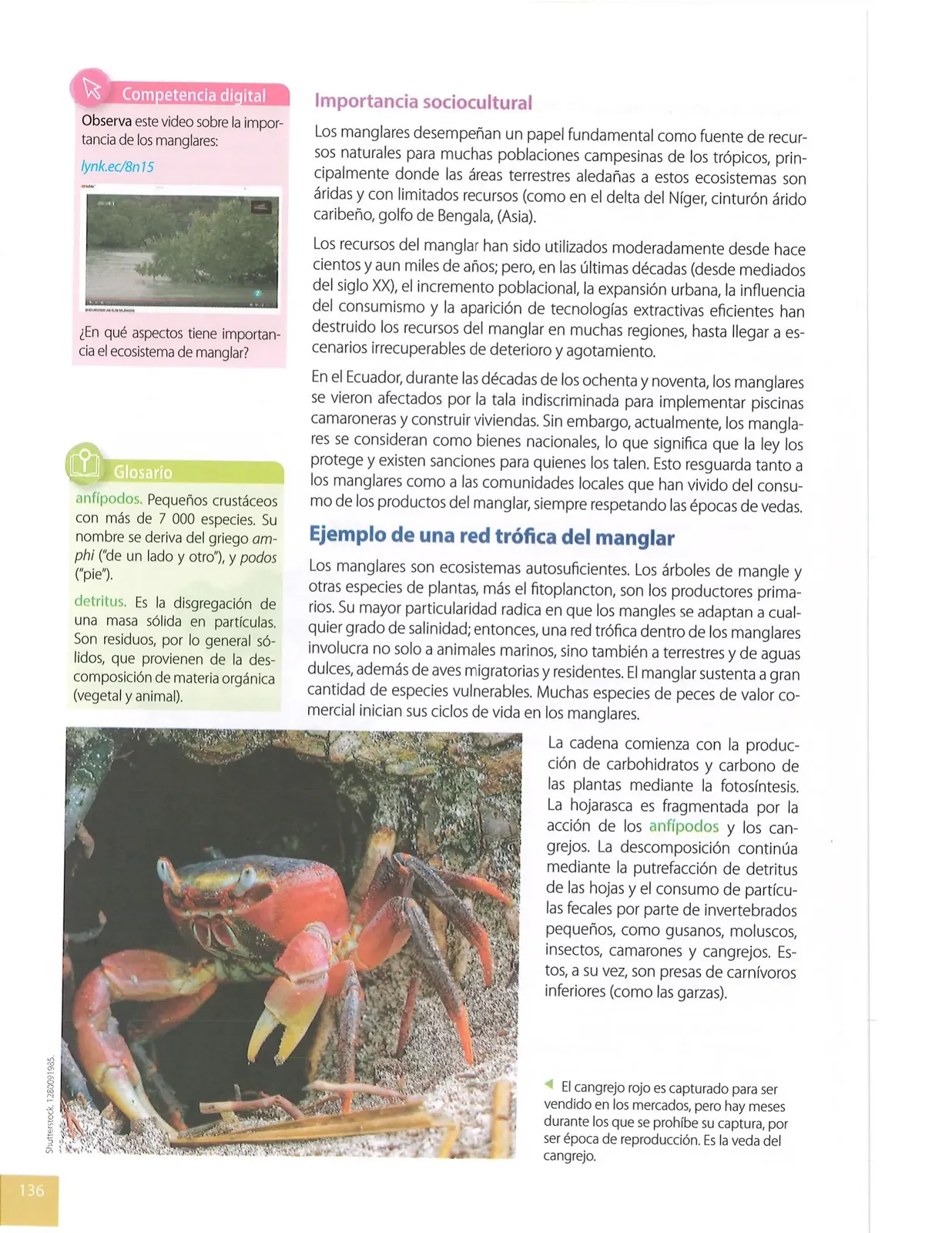 Página 135