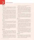 Miniatura página 162 de Lenguaje y Comunicación – Cuarto Básico | Texto del Estudiante MINEDUC – Descargar PDF · 2024