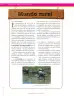 Miniatura página 64 de Ciencias Naturales 7° · Secundaria Activa