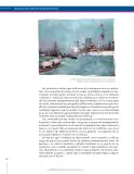 Miniatura página 206 de Ciencias Sociales 8° · Secundaria Activa
