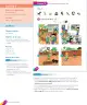 Miniatura página 104 de Inglés – Primero Básico | Student’s Book MINEDUC – Descargar PDF · 2024