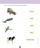 Miniatura página 176 de Ciencias Naturales – Primero Básico | Texto del Estudiante (MINEDUC) – Descargar PDF · 2024