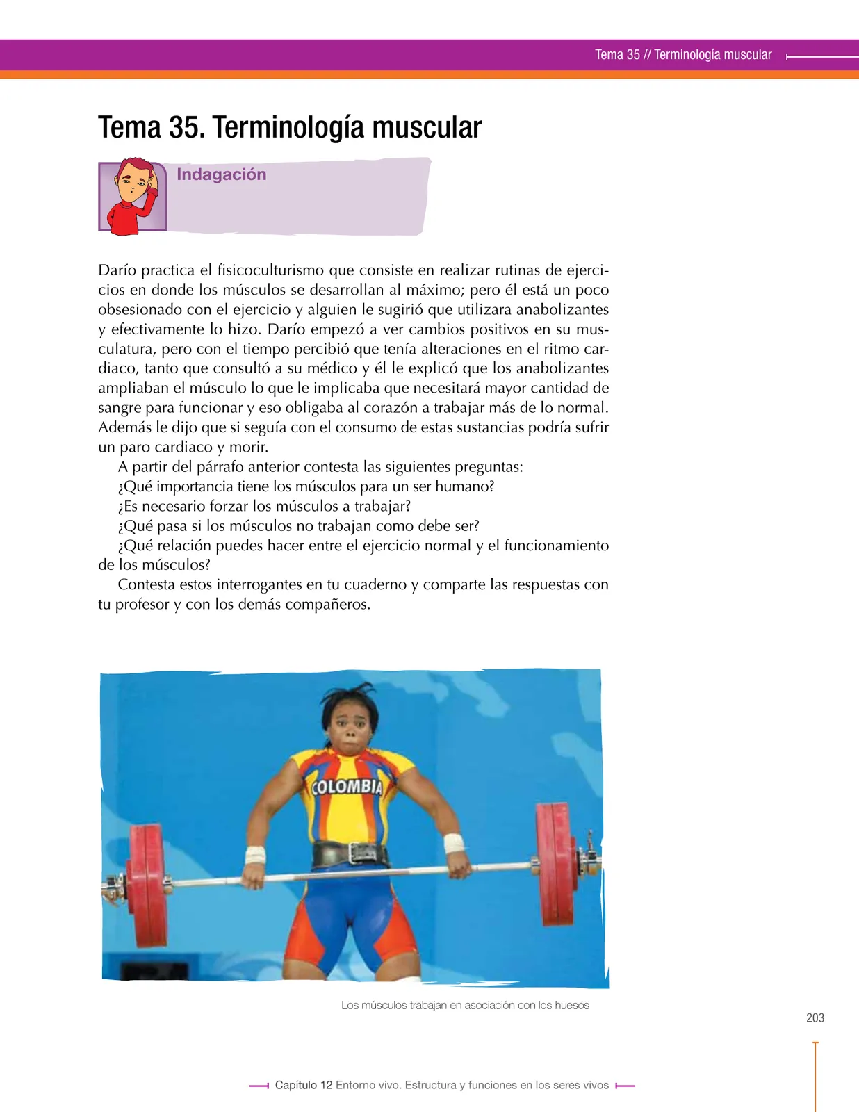 Miniatura página 203 de Ciencias Naturales 8° · Secundaria Activa