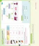 Miniatura página 105 de Ciencias Naturales – Segundo Básico | Texto del Estudiante MINEDUC – Descargar PDF · 2024