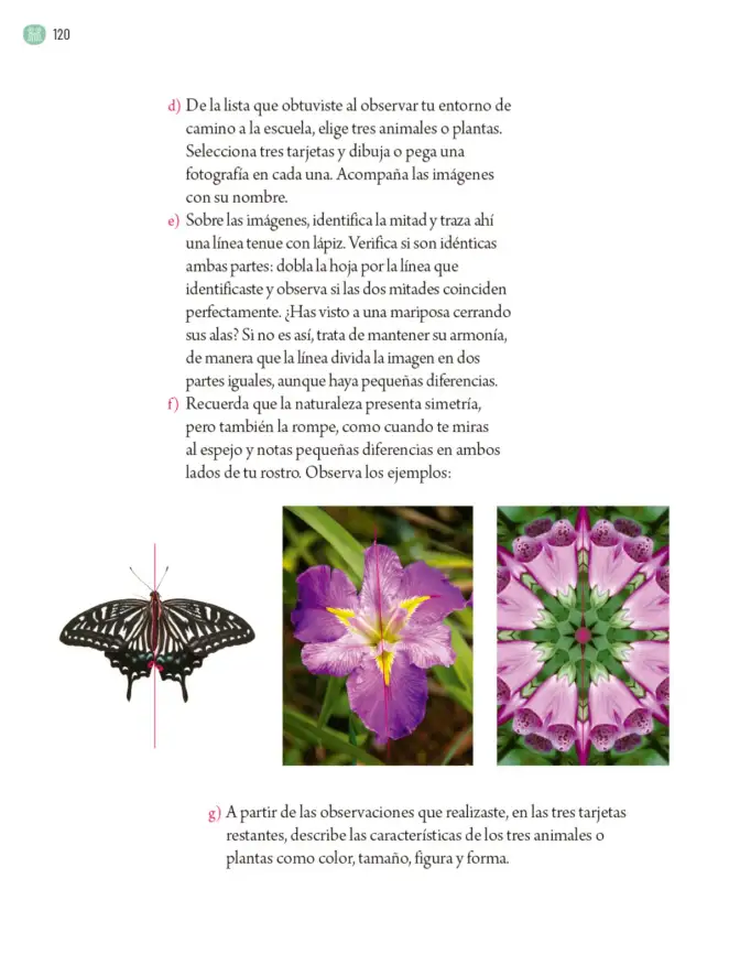 Página 123 de Proyectos Comunitarios. Libro de Educación Primaria Grado 5° Ciclo Escolar 2025 - 2026