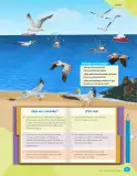 Miniatura página 55 de Libro de Ciencias Naturales – Quinto Básico | Texto del Estudiante MINEDUC – Descargar PDF · 2024