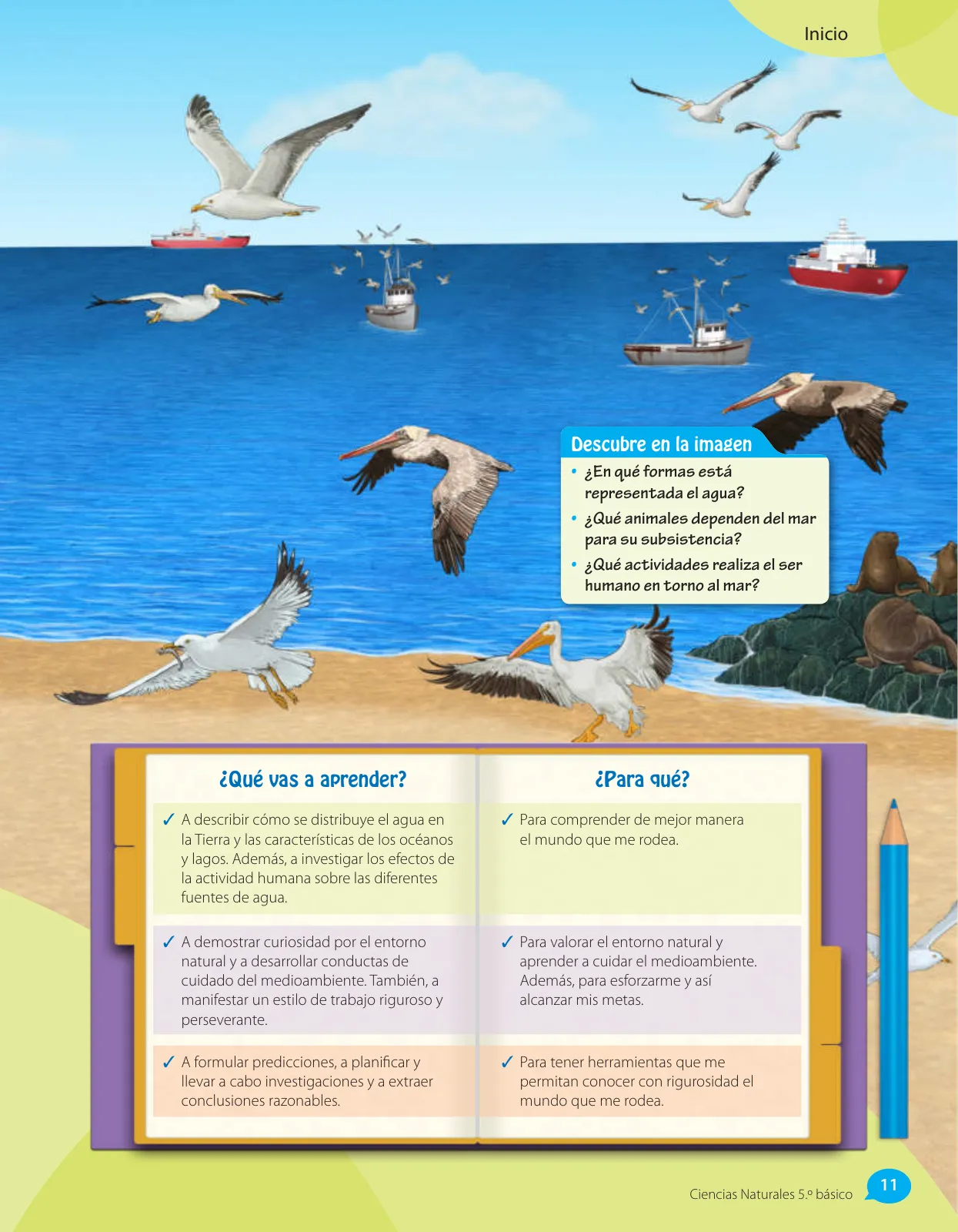 Miniatura página 55 de Libro de Ciencias Naturales – Quinto Básico | Texto del Estudiante MINEDUC – Descargar PDF · 2024