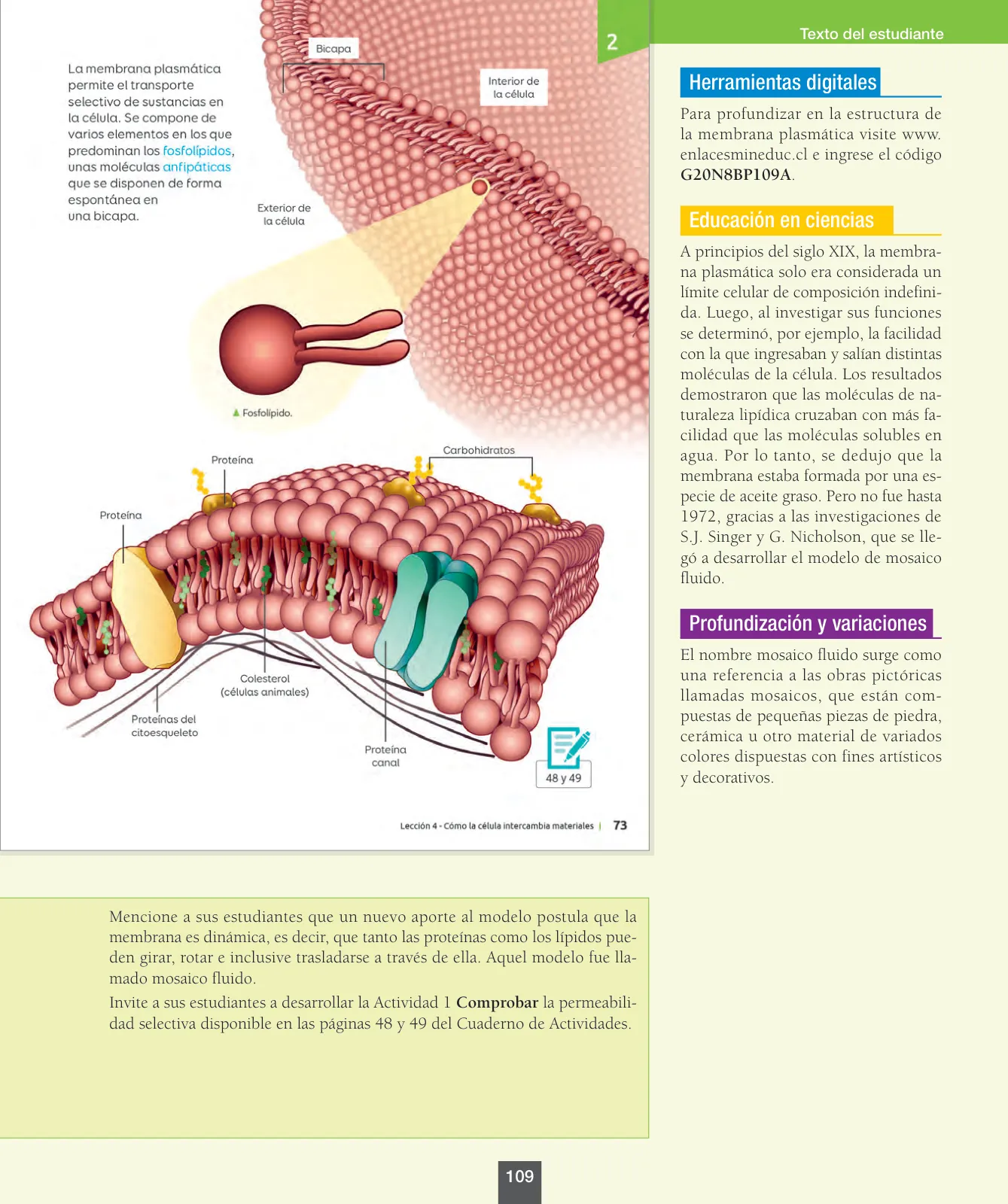 Miniatura página 110 de Ciencias Naturales – Octavo Básico | Texto del Estudiante MINEDUC – Descargar PDF · 2024