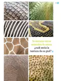 Miniatura página 76 de Múltiples lenguajes.   Libro de Educación Primaria Grado 1°  Ciclo Escolar 2025 - 2026