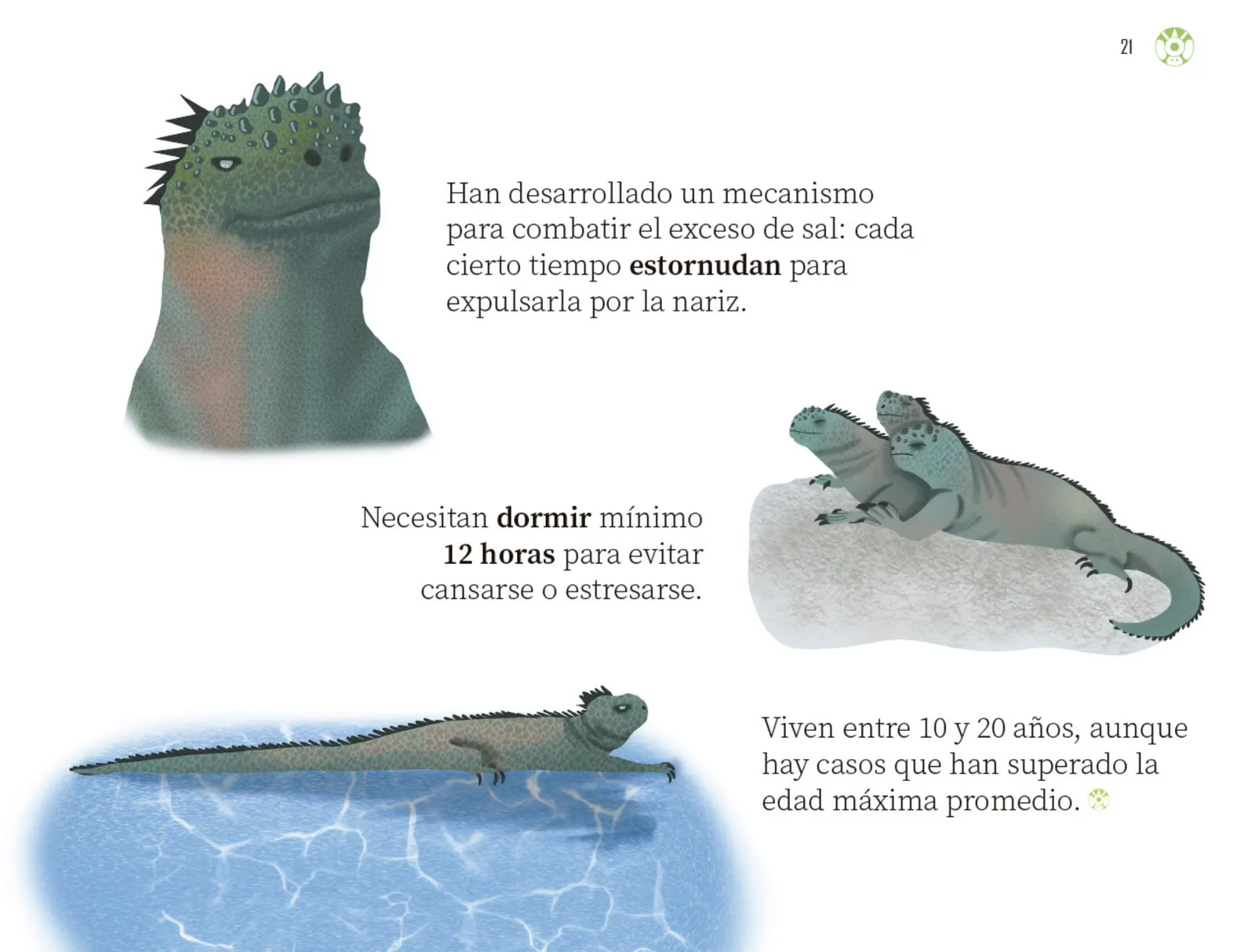 Miniatura página 22 de Múltiples lenguajes.   Libro de Educación Preescolar Grado 3°  Ciclo Escolar 2025 - 2026