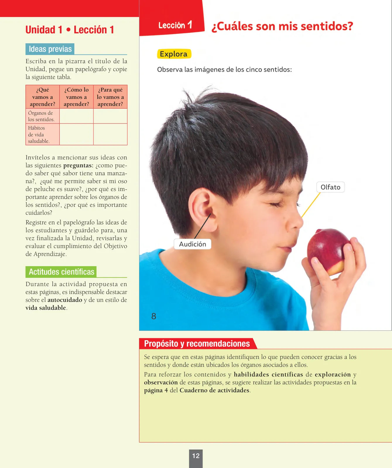 Miniatura página 13 de Ciencias Naturales – Primero Básico | Texto del Estudiante (MINEDUC) – Descargar PDF · 2024