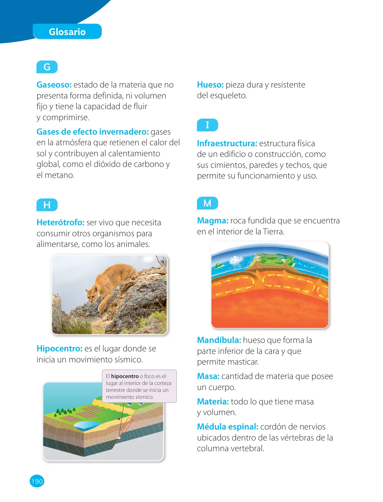 Miniatura página 192 de Ciencias Naturales – Cuarto Básico | Texto del Estudiante MINEDUC – Descargar PDF · 2024