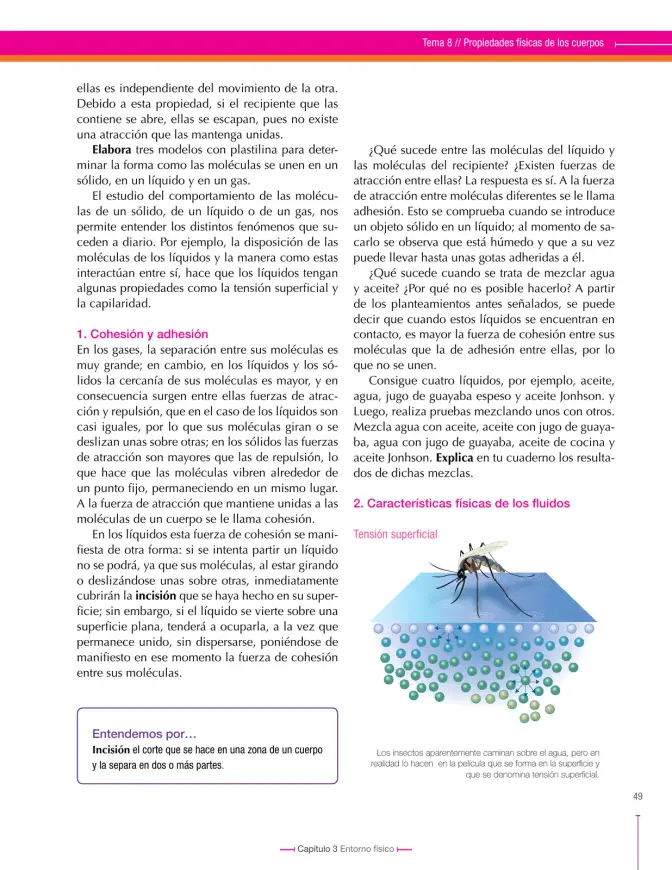 Página 49 de Ciencias Naturales 8° · Secundaria Activa