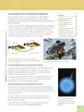 Miniatura página 43 de Ciencias Naturales 6° · Egb 6 Ciencias Naturales 2025 · 2025