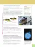 Miniatura página 43 de Ciencias Naturales 6° · Egb 6 Ciencias Naturales 2025 · 2025
