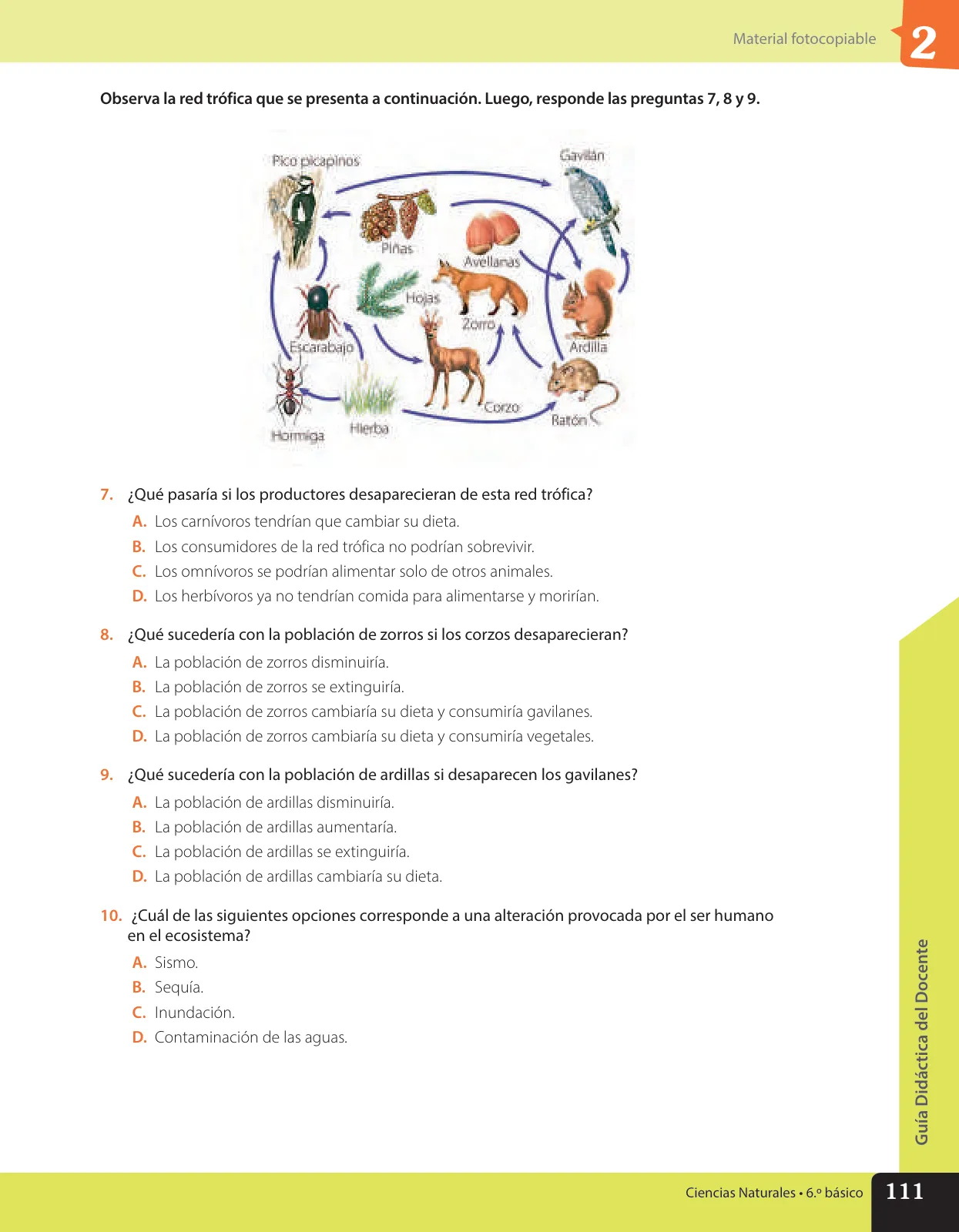 Página 178 de Libro de Ciencias Naturales – Quinto Básico | Texto del Estudiante MINEDUC – Descargar PDF · 2024