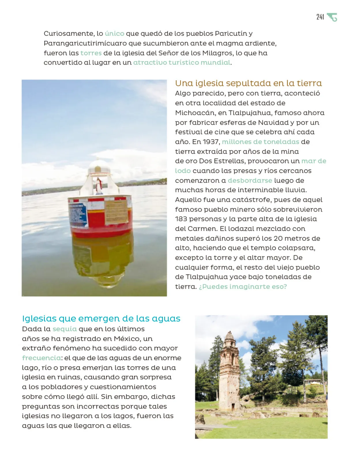 Miniatura página 242 de Múltiples lenguajes.   Libro de Educación Primaria Grado 6°  Ciclo Escolar 2025 - 2026