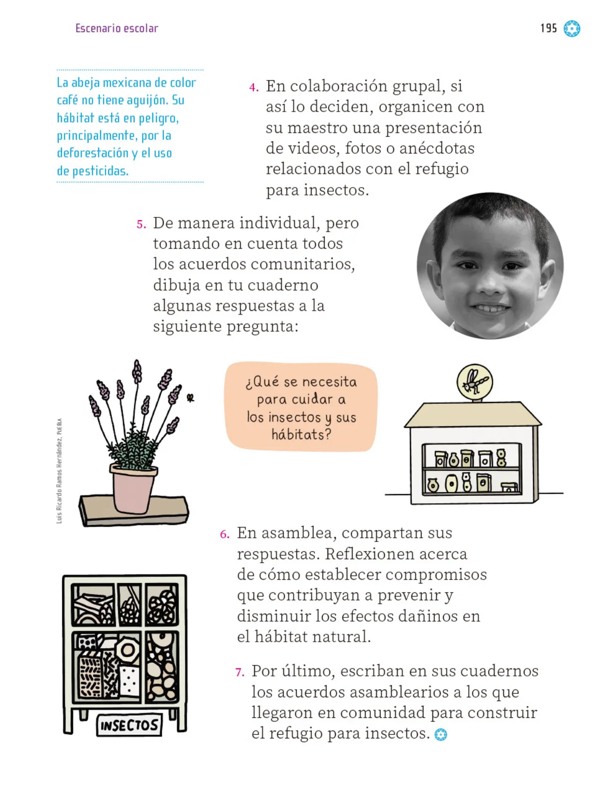 Página 196 de Proyectos Escolares. Libro de Educación Primaria Grado 1° Ciclo Escolar 2025 - 2026