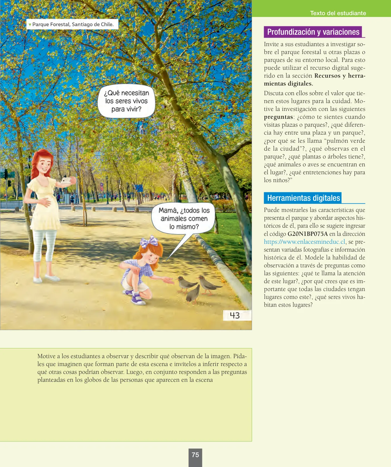 Miniatura página 76 de Ciencias Naturales – Primero Básico | Texto del Estudiante (MINEDUC) – Descargar PDF · 2024