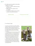 Miniatura página 333 de Proyectos de Aula.   Libro de Educación Primaria Grado 6°  Ciclo Escolar 2025 - 2026
