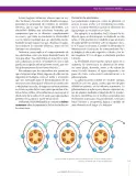 Miniatura página 115 de Ciencias Naturales 8° · Secundaria Activa