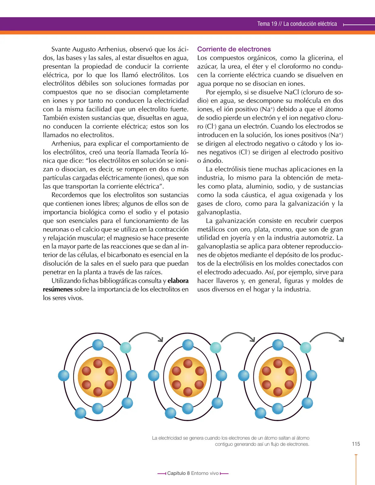 Miniatura página 115 de Ciencias Naturales 8° · Secundaria Activa