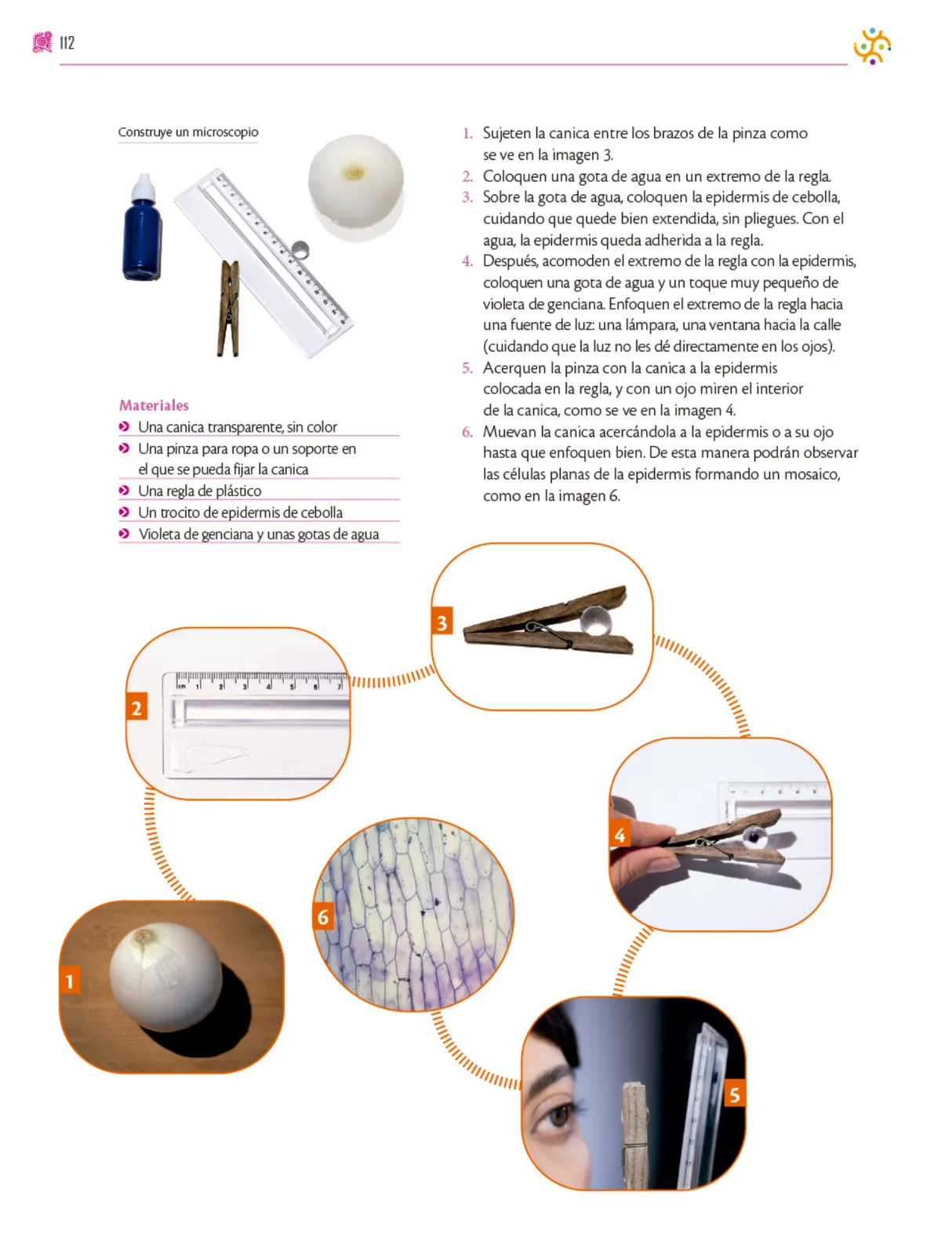 Miniatura página 113 de Colección Ximhai. Nuestro libro de proyectos.   Libro de Educación Secundaria Grado 1°  Ciclo Escolar 2025 - 2026