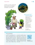 Miniatura página 88 de Nuestros saberes: Libro para alumnos, maestros y familia.   Libro de Educación Primaria Grado 1°  Ciclo Escolar 2025 - 2026