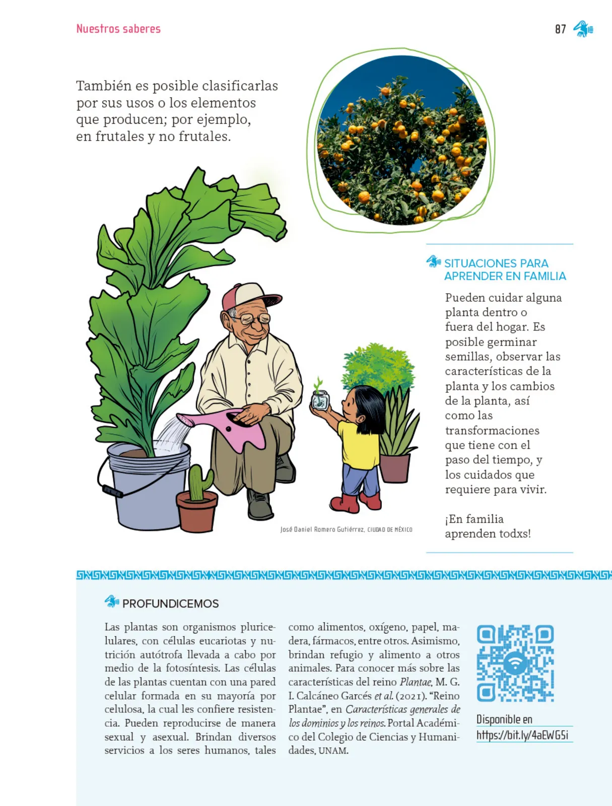 Miniatura página 88 de Nuestros saberes: Libro para alumnos, maestros y familia.   Libro de Educación Primaria Grado 1°  Ciclo Escolar 2025 - 2026