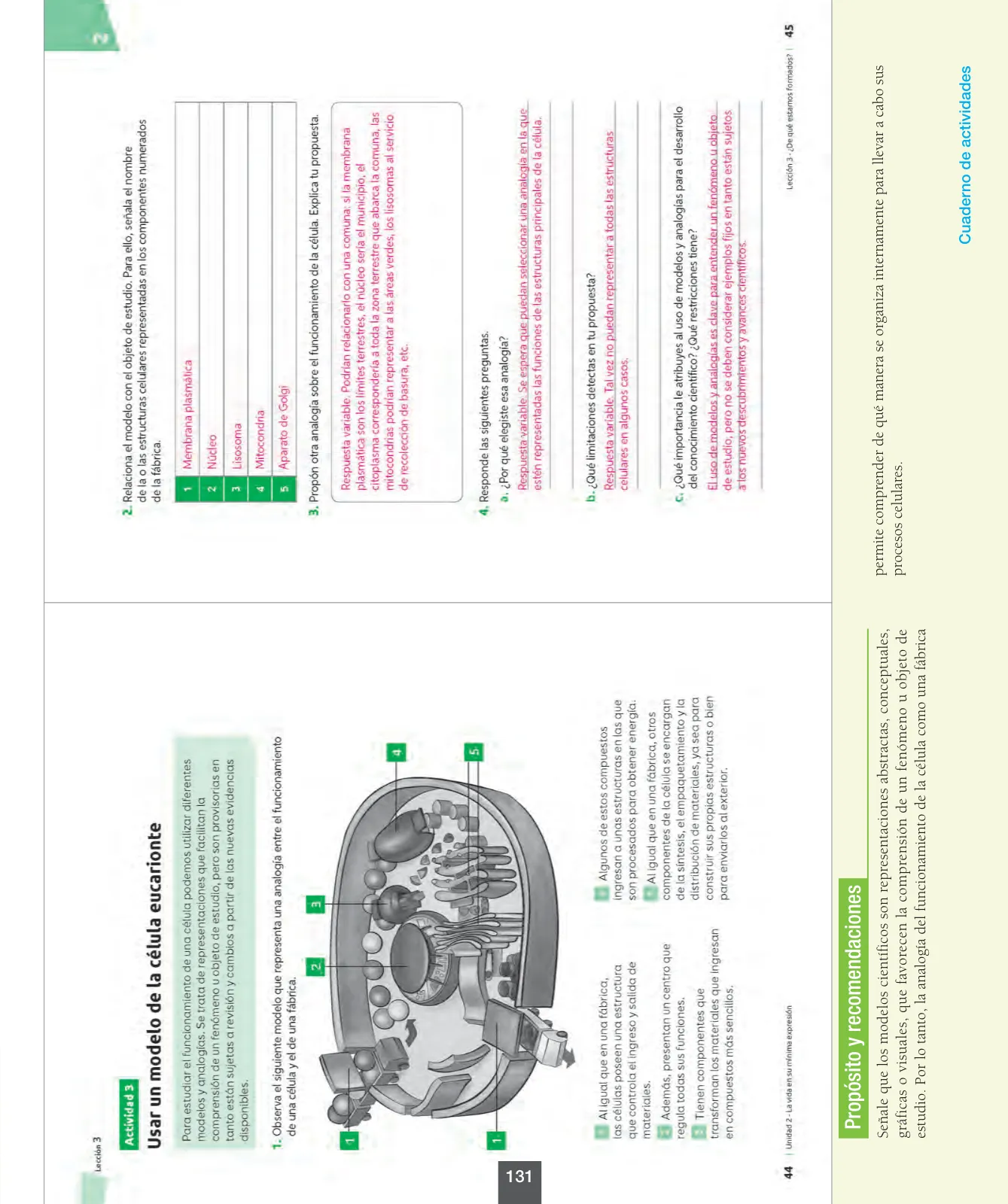 Miniatura página 132 de Ciencias Naturales – Octavo Básico | Texto del Estudiante MINEDUC – Descargar PDF · 2024
